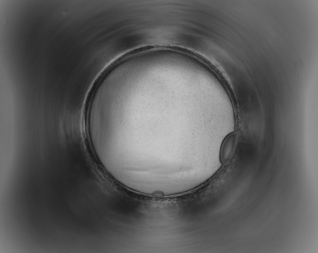 X0000092040887200710031022