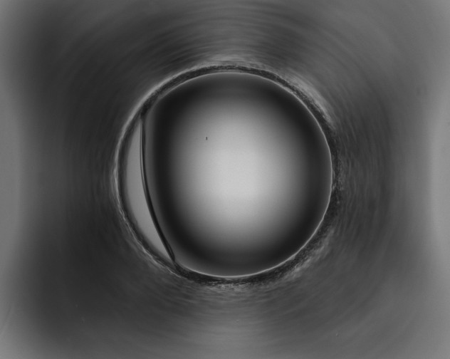 X0000092040888200710031022