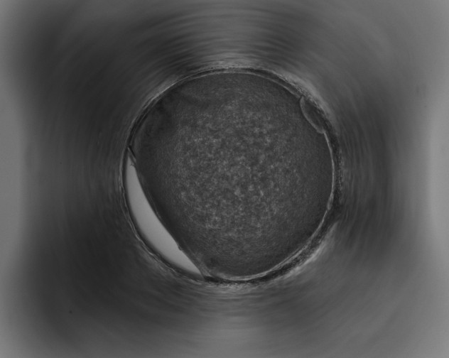 X0000092040889200710031022