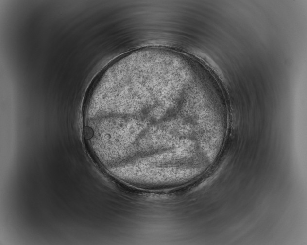 X0000092040890200710031022