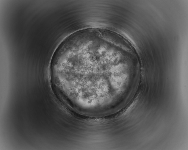 X0000092040891200710031022