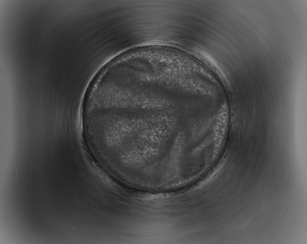 X0000092040892200710031022