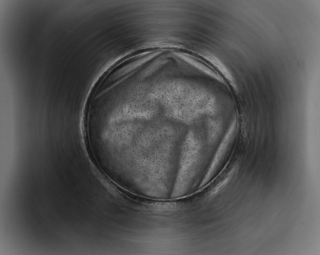 X0000092040893200710031022