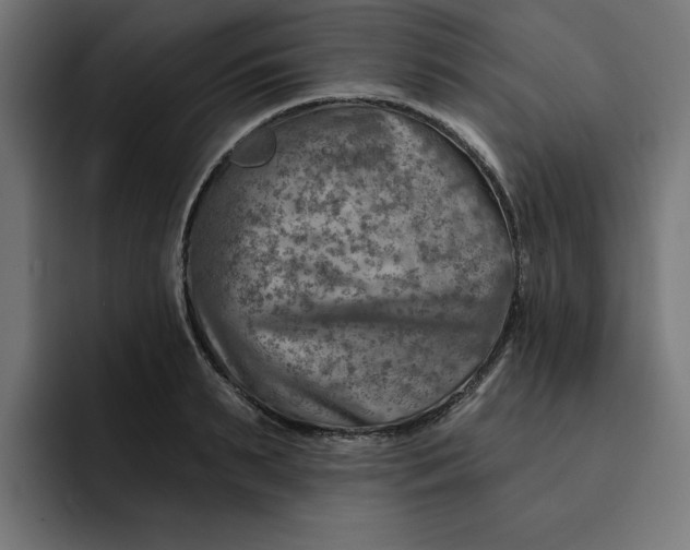 X0000092040895200710031022