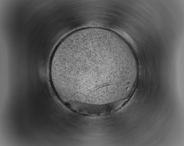 X0000092040896200710031022