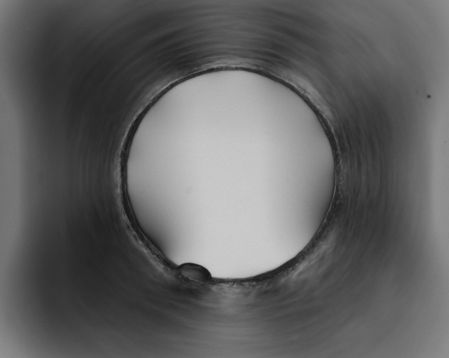 X0000092040898200710031022