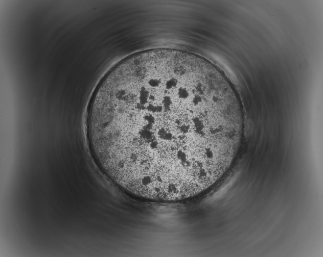 X0000092040899200710031022