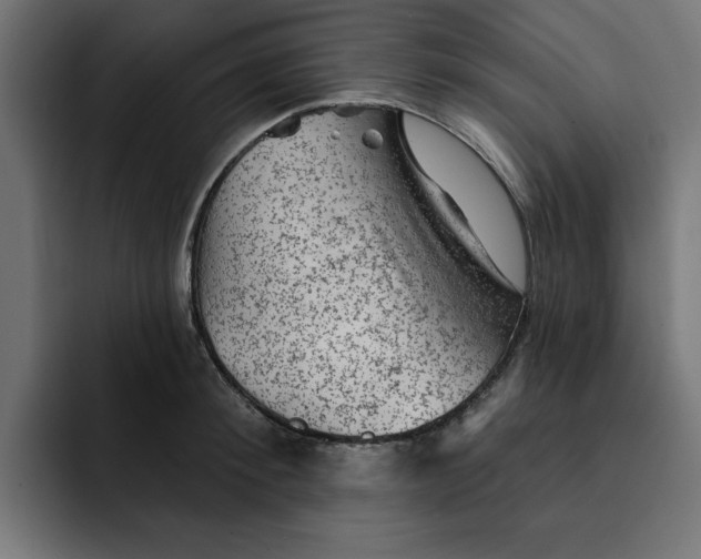 X0000092040900200710031022