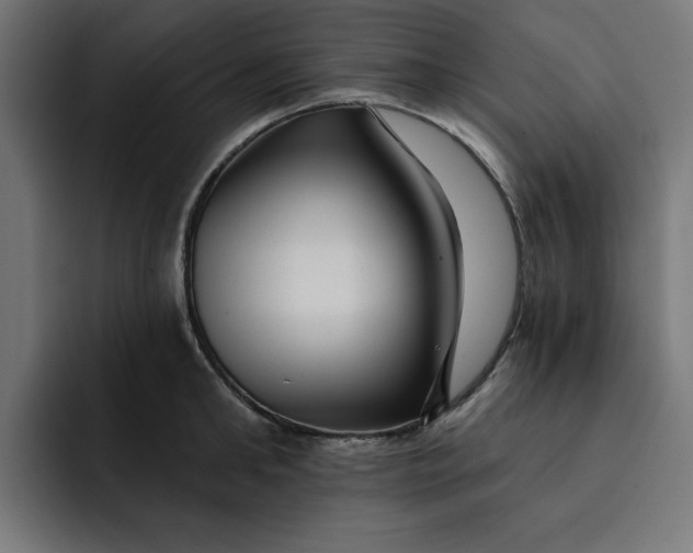 X0000092040902200710031022