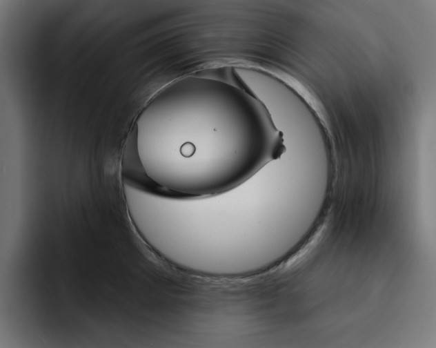 X0000092040905200710031022