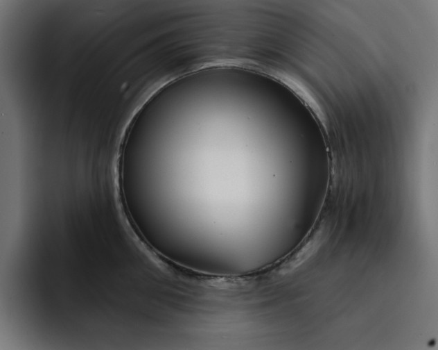 X0000092040906200710031022