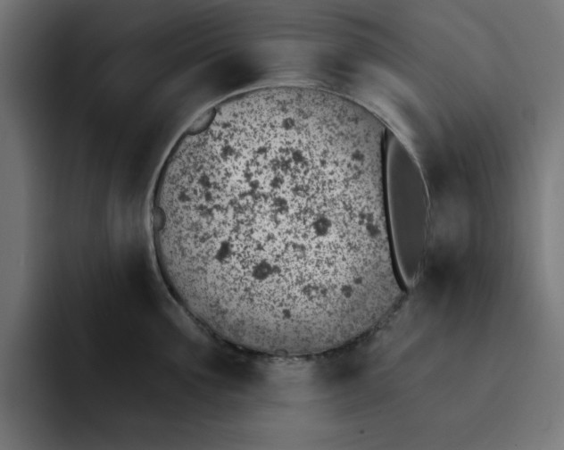 X0000092040907200710031022