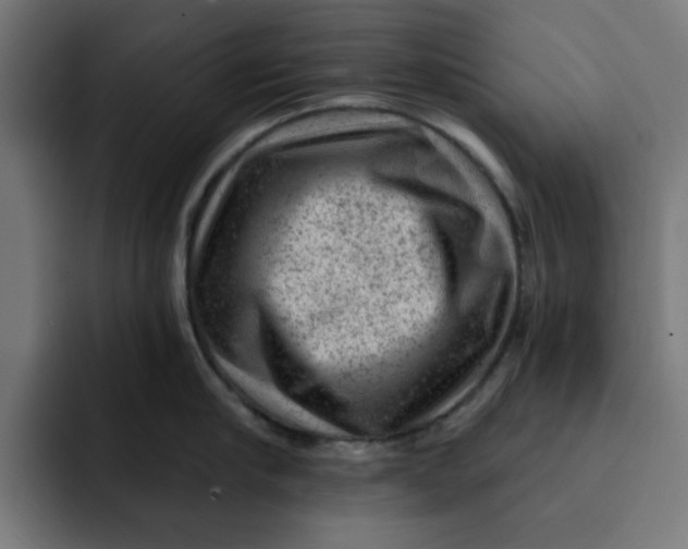 X0000092040910200710031022