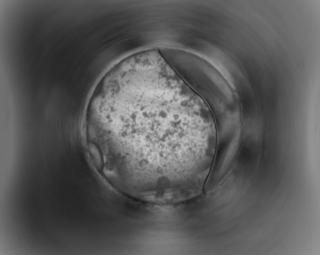 X0000092040911200710031022