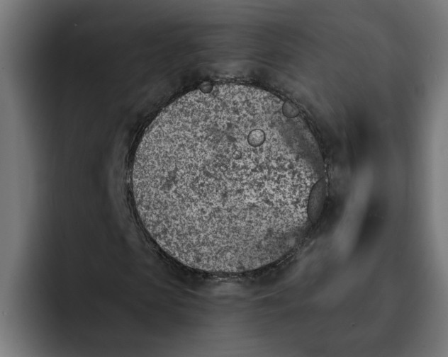 X0000092040913200710031022