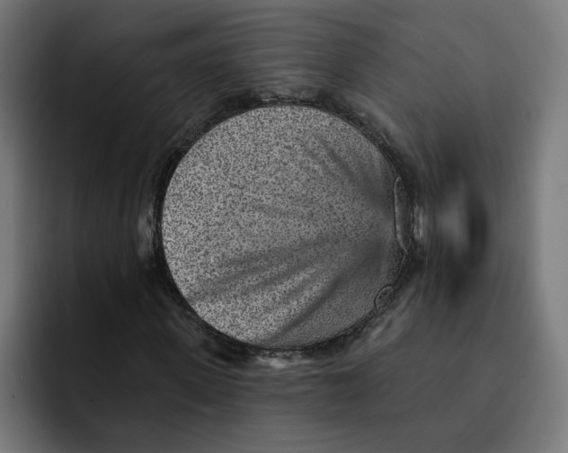 X0000092040915200710031022