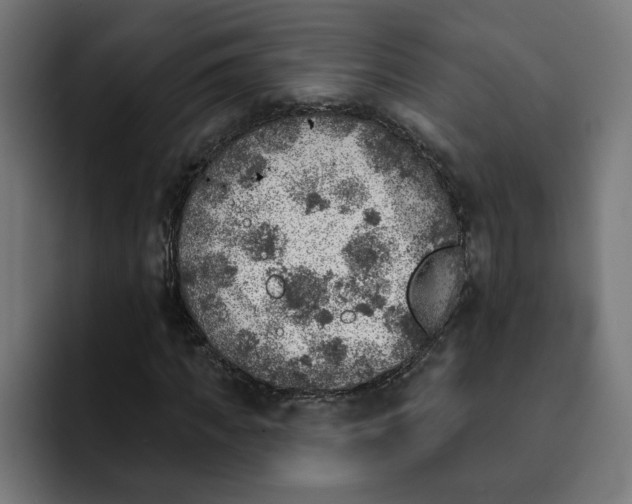 X0000092040917200710031022