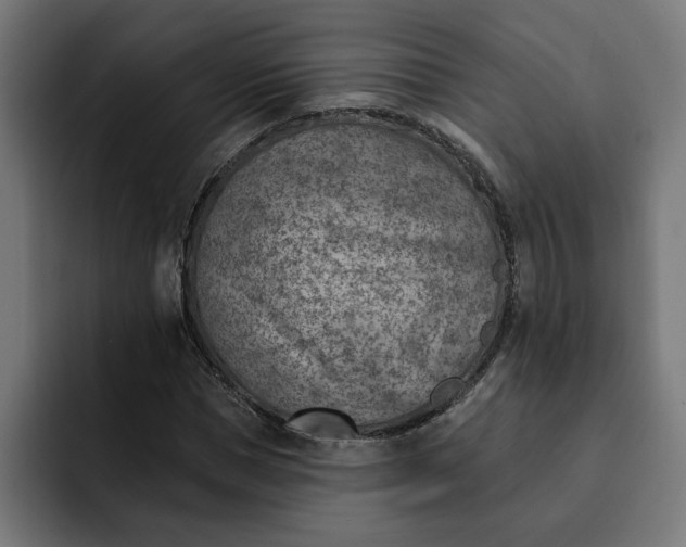 X0000092040921200710031022