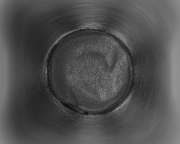 X0000092040923200710031022