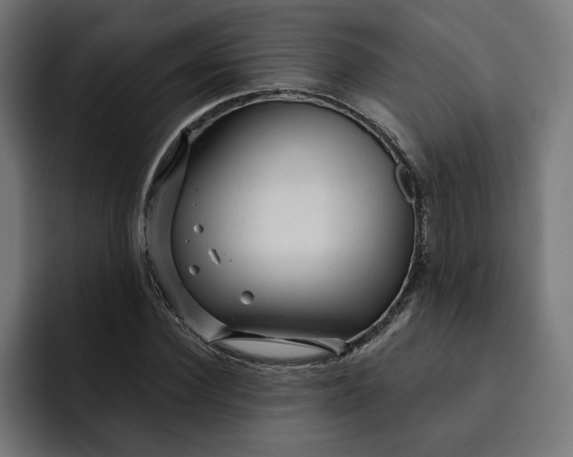 X0000092040924200710031022