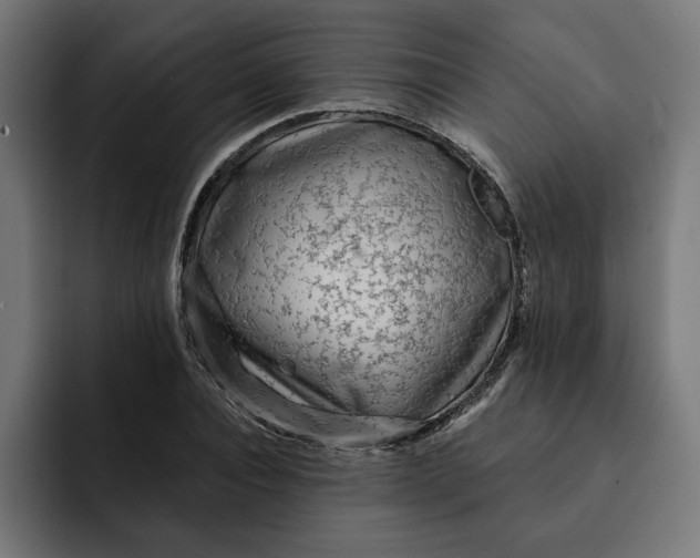 X0000092040928200710031022