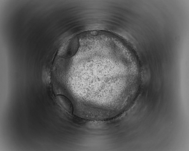 X0000092040929200710031022