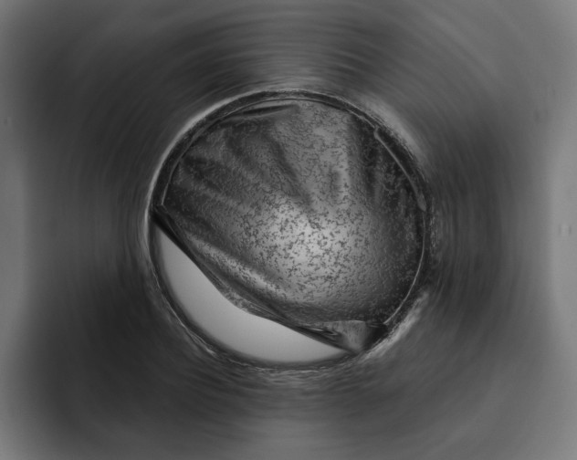 X0000092040932200710031022