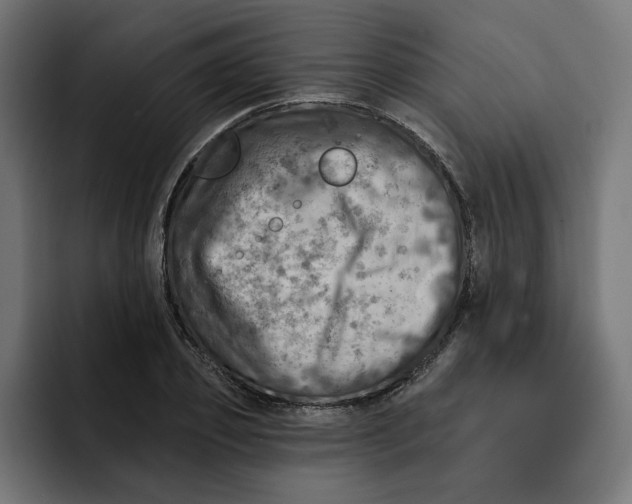 X0000092040933200710031022