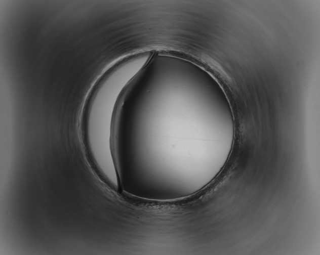 X0000092040934200710031022