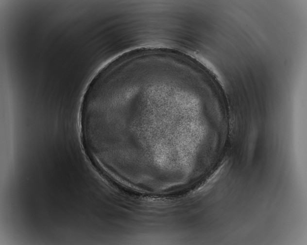 X0000092040935200710031022