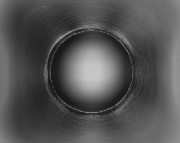 X0000092040936200710031022