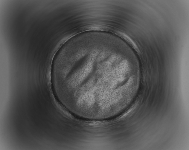 X0000092040938200710031022