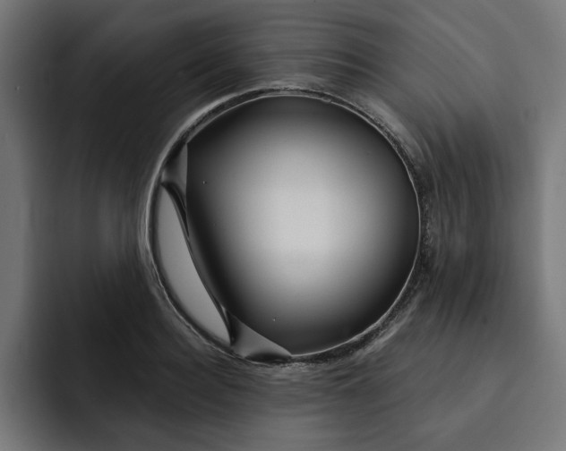 X0000092040940200710031022