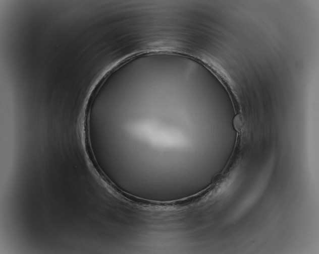 X0000092040941200710031022