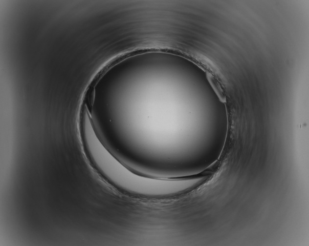 X0000092040942200710031022