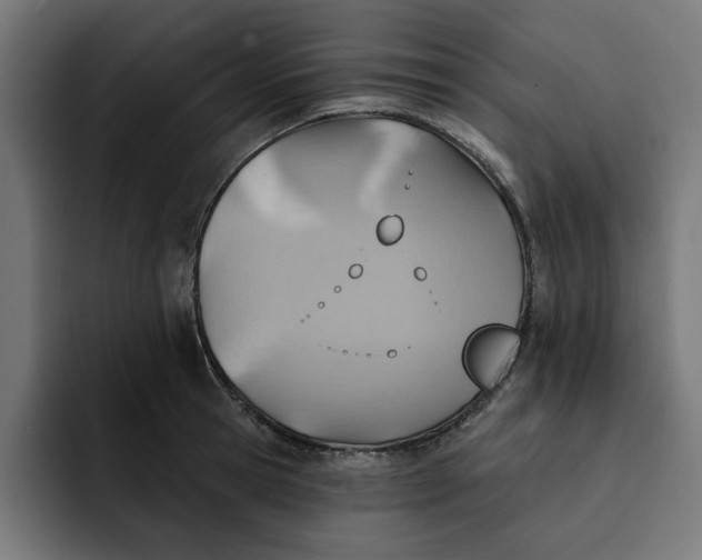 X0000092040945200710031022