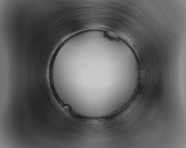 X0000092040947200710031022