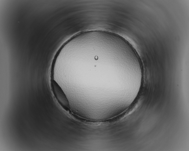 X0000092040949200710031022