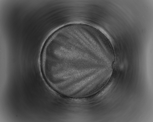 X0000092040951200710031022