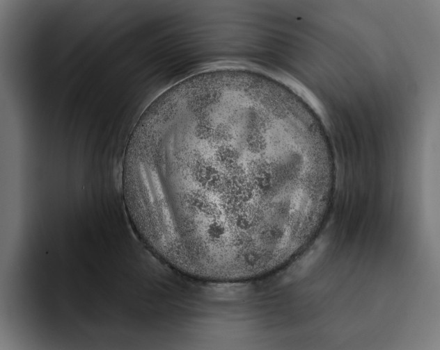 X0000092040953200710031022