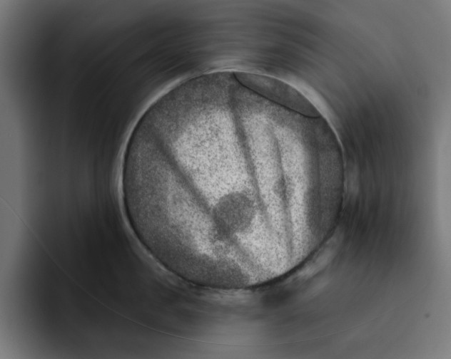 X0000092040957200710031022