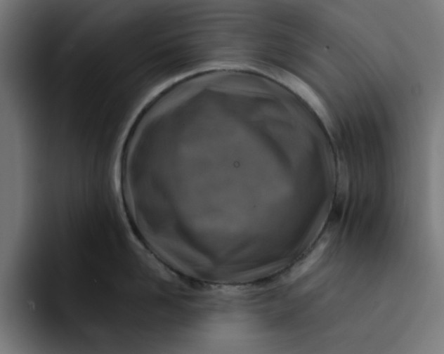 X0000092040958200710031022