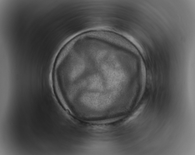 X0000092040959200710031022