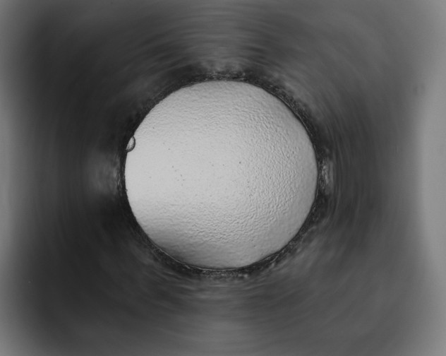 X0000092040963200710031022