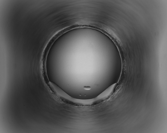 X0000092040976200710031021