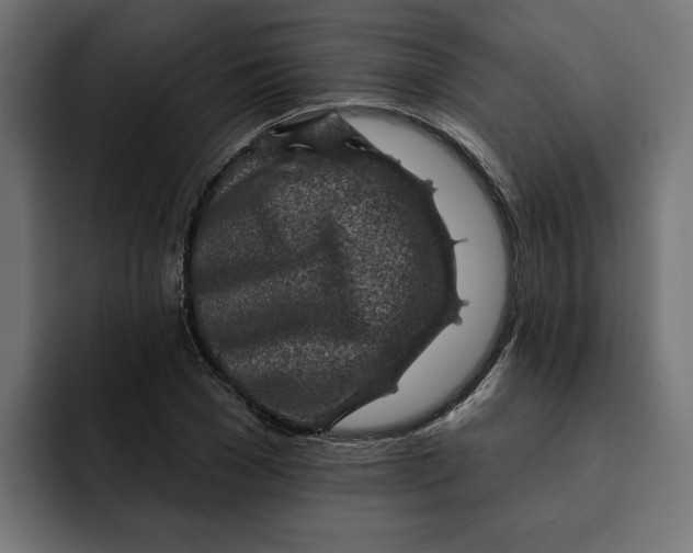 X0000092040977200710031021