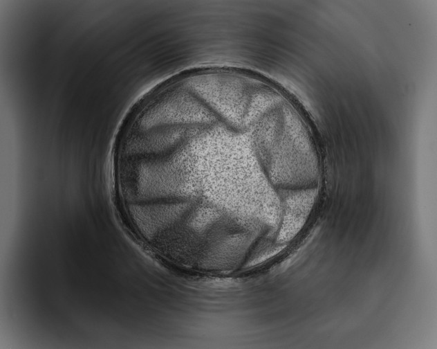 X0000092040982200710031021