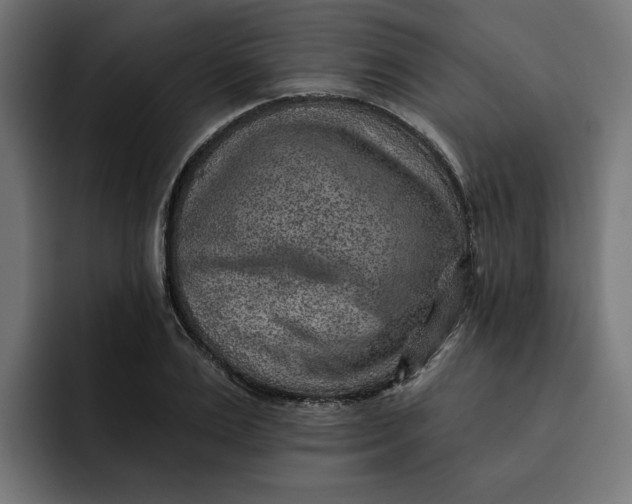 X0000092040983200710031021