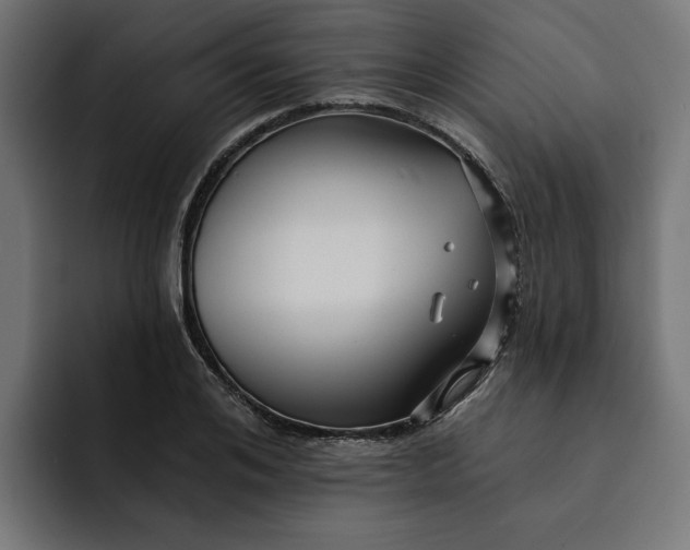 X0000092040984200710031021