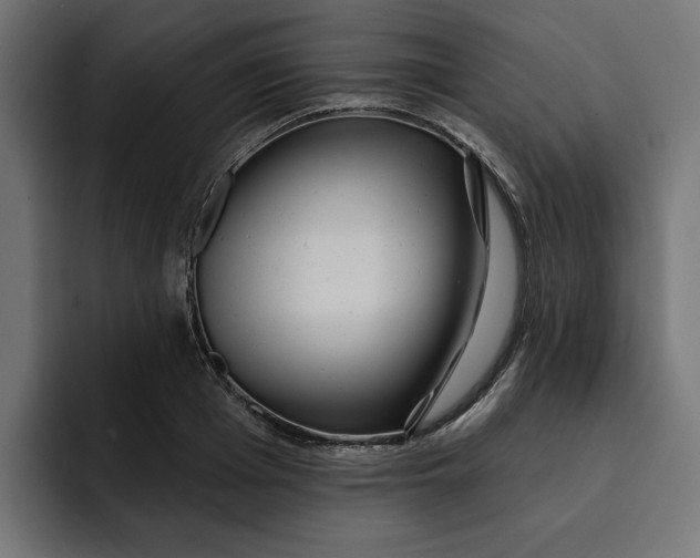 X0000092040985200710031021